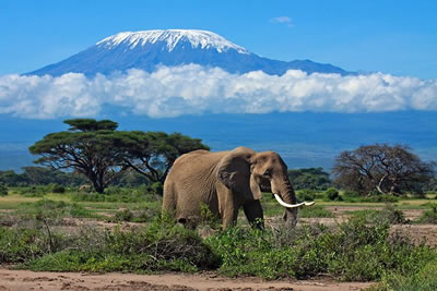 A Look Into African tourism, why it is better?