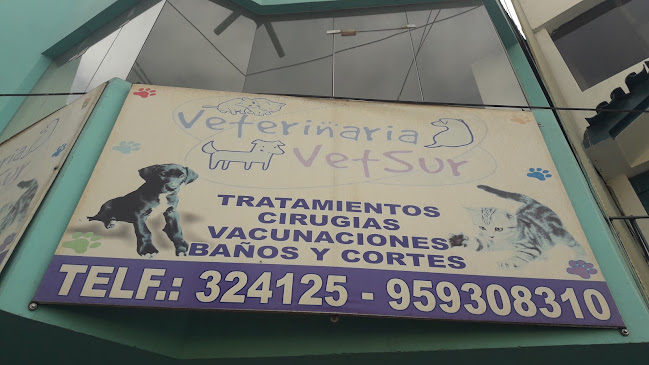 Veterinaria VetSur - Arequipa