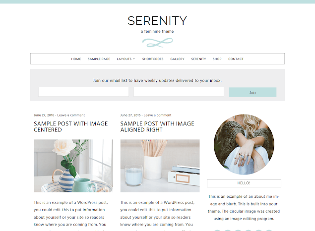 Serenity Template from Beautiful Dawn Designs - arelaxedgal.com