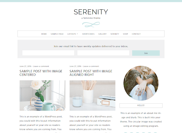 Serenity Template from Beautiful Dawn Designs - arelaxedgal.com