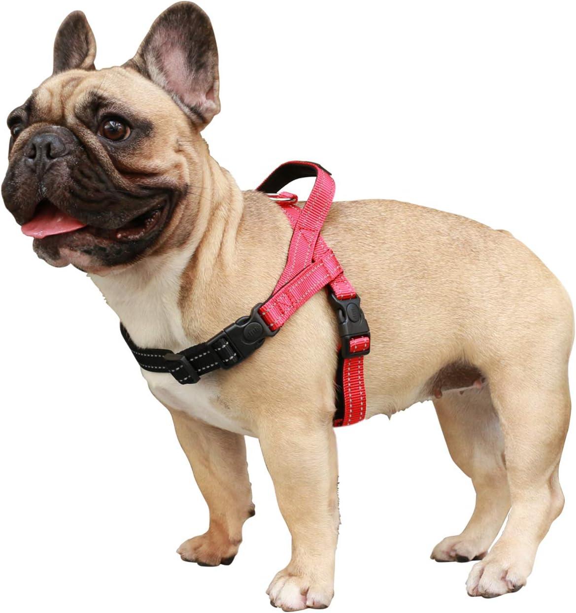 iChoue Dog Harness