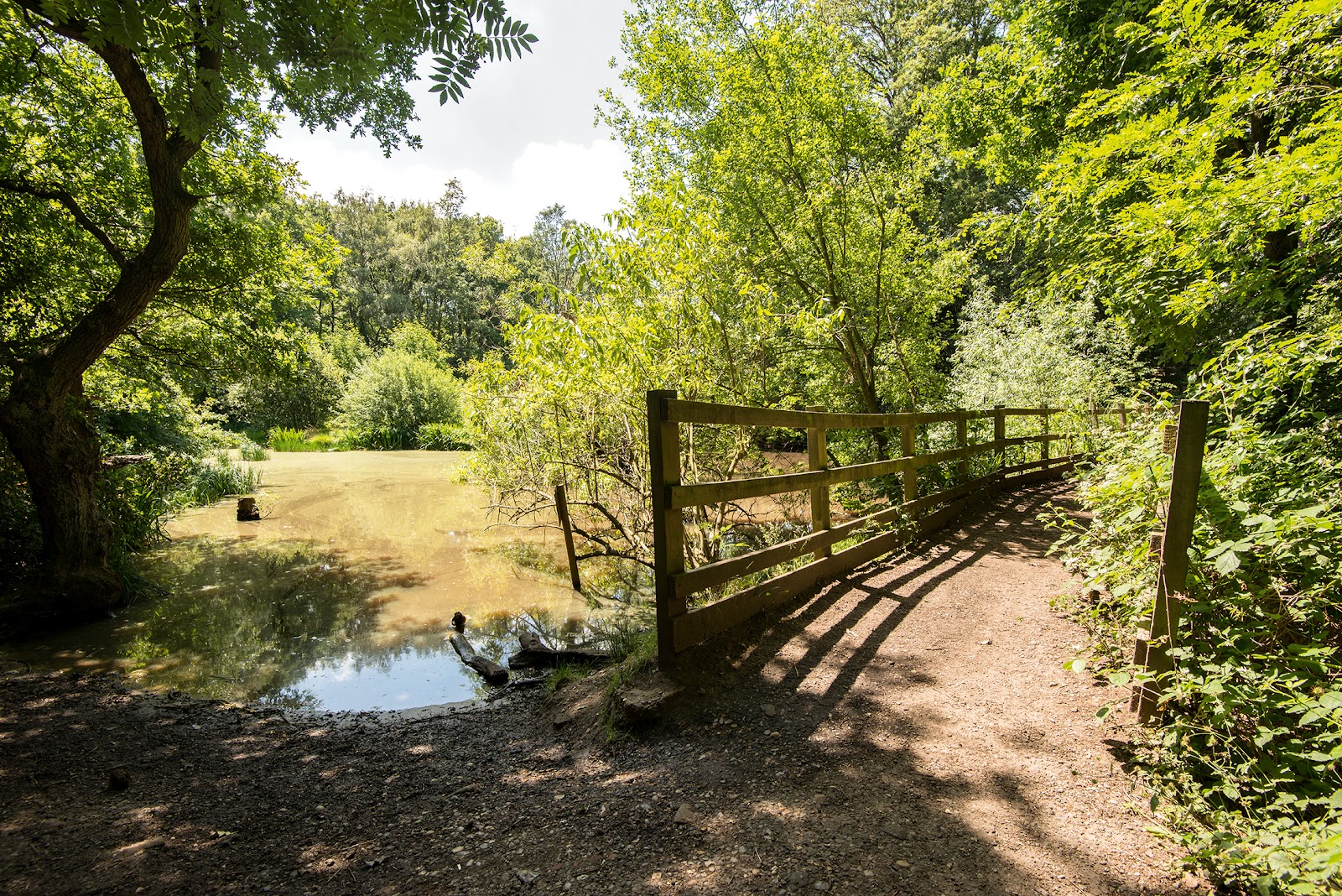 Parks in London - Wimbledon