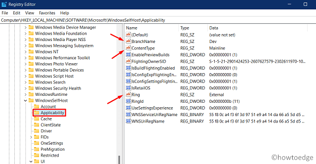 Aperçu de Windows 11 sur les appareils non pris en charge - modifier le registre
