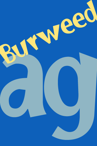 Burweed FlipFont apk