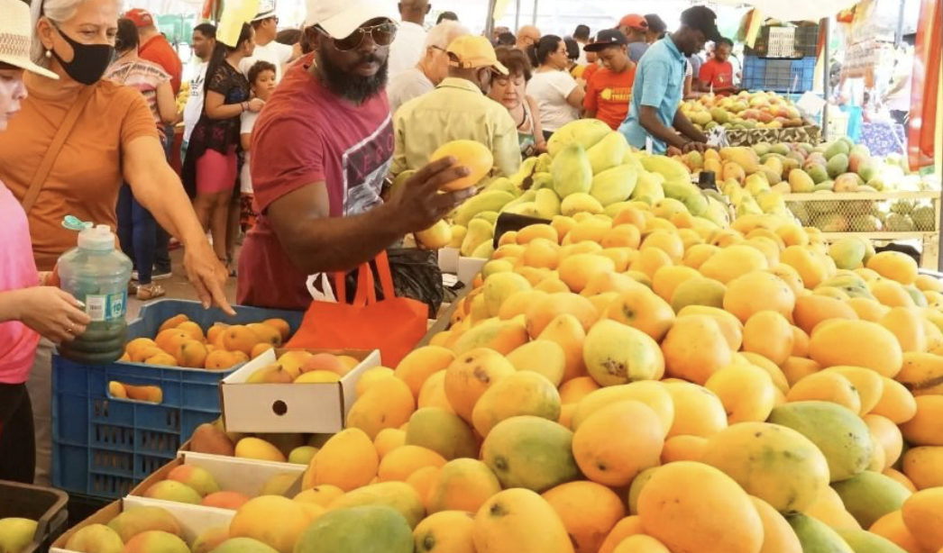 The King Of Fruit: 13 Mouthwatering Mango Varieties - Sukhi's