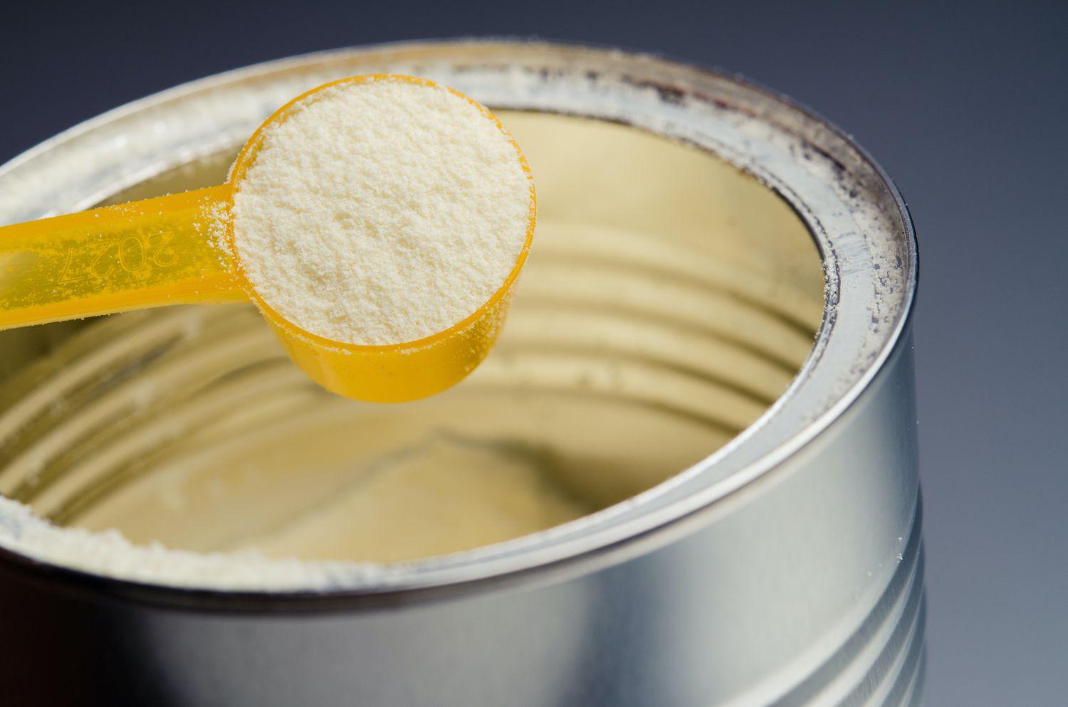 What Is Powdered Milk?