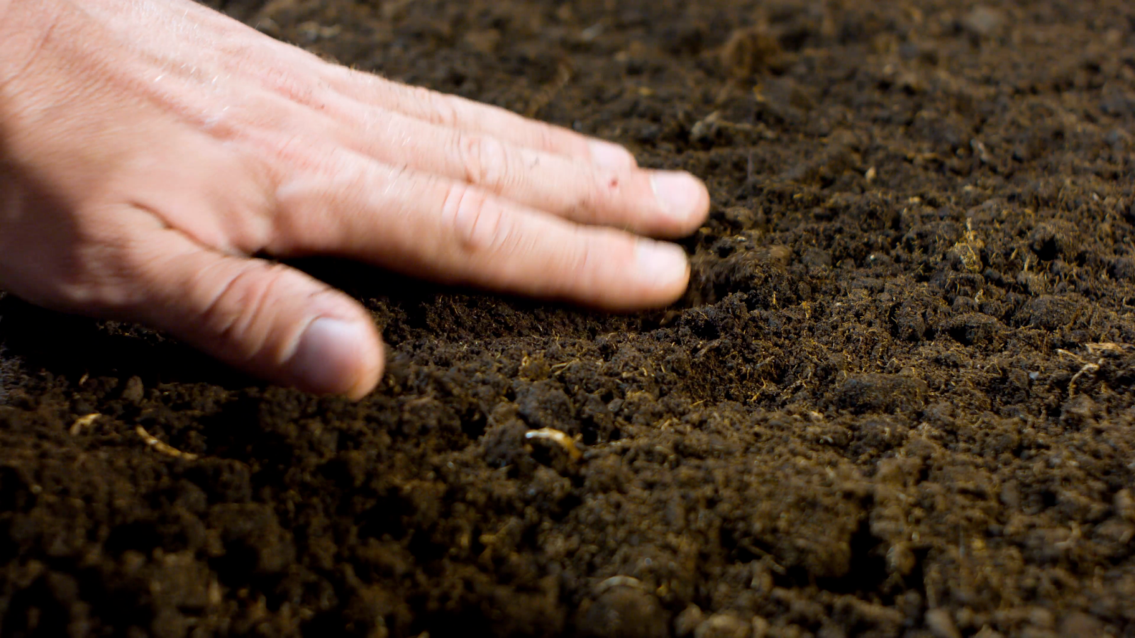 Почвенно растительные условия. Чернозем. Плодородная земля. Почва. Грунт (почва).
