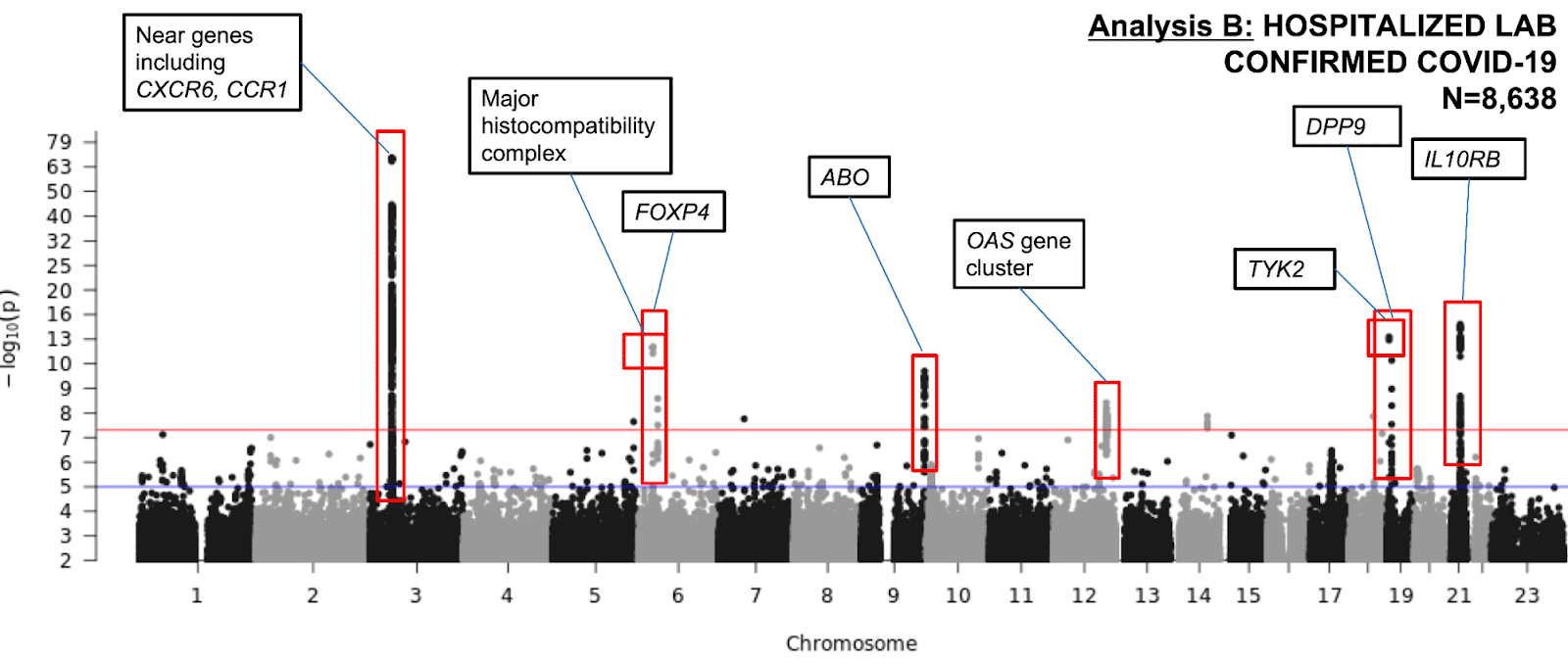 A Manhattan plot showing the GWAS results for COVID-19 Severity in 8,638 hospitalized COVID-19 cases and 1.7 million controls