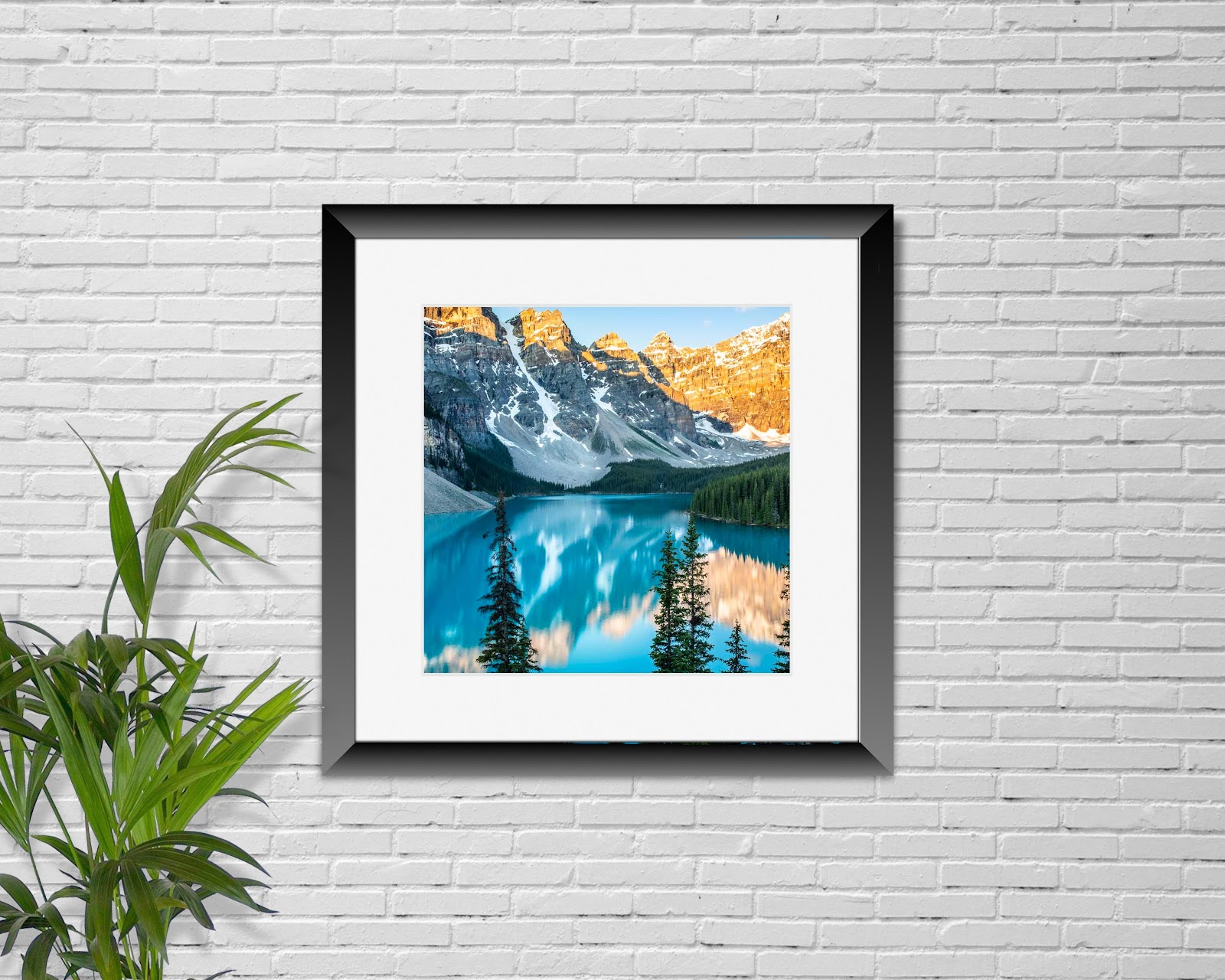 landscape photo in a simple frame