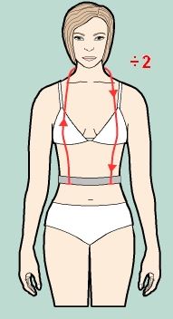 Measure from bottom of waist elastic, up across bust apex, around back of neck, and down across breast apex to the bottom of waist elastic.
