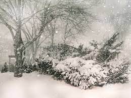 Snow falling images photos files in .jpg format for free and easy download  unlimit