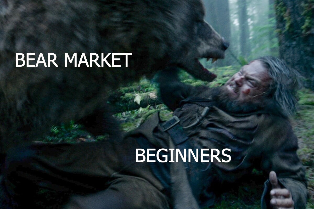 crypto bear market (trend)