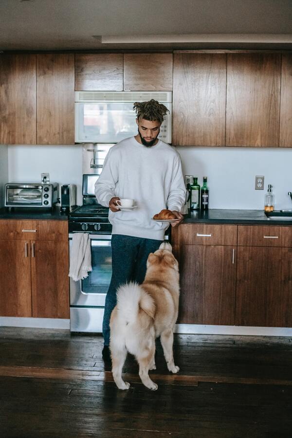 Homem segurando comida e seu cachorro cheirando