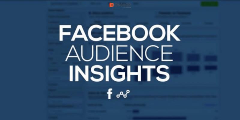 phần mềm Facebook Audience Insights