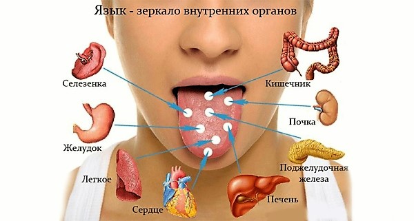 Коричневый Налет На Языке Фото