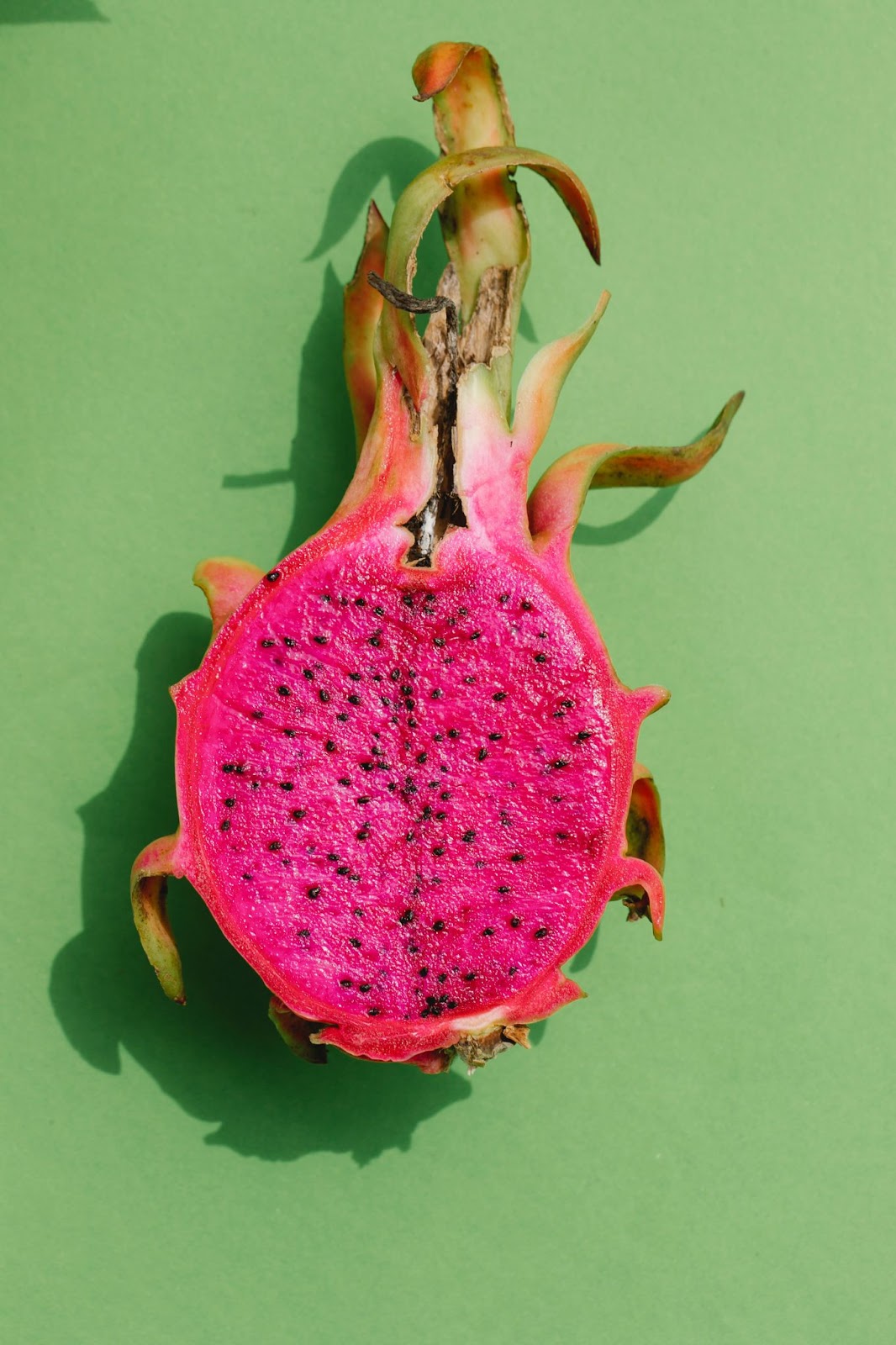 Can Dogs Eat Dragon Fruit? Everything You Need to Know