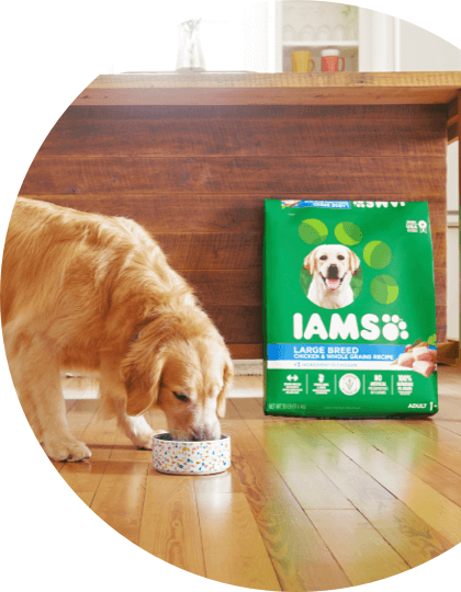 IAMS MINICHUNKS CHICKEN &amp; WHOLE GRAINS