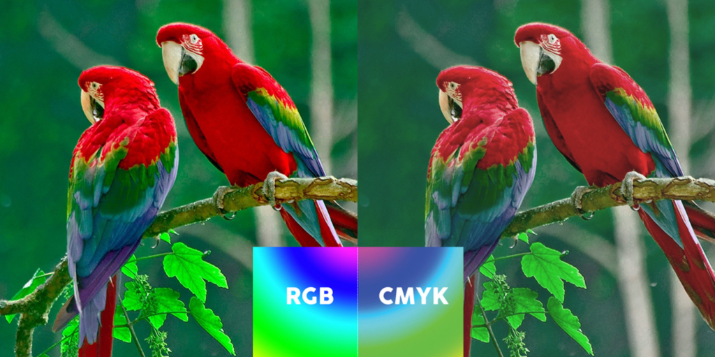 сравнение RGB и CMYK
