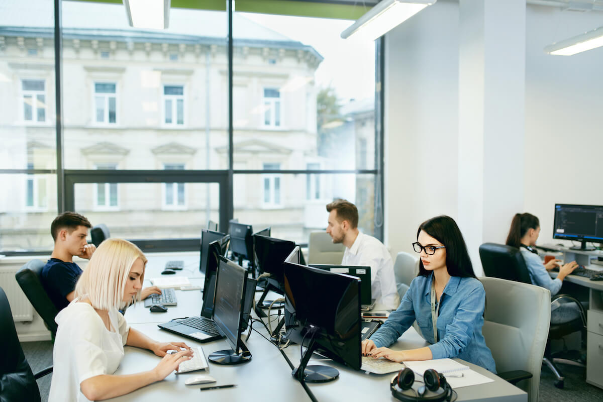 Risk management process: team working in an office