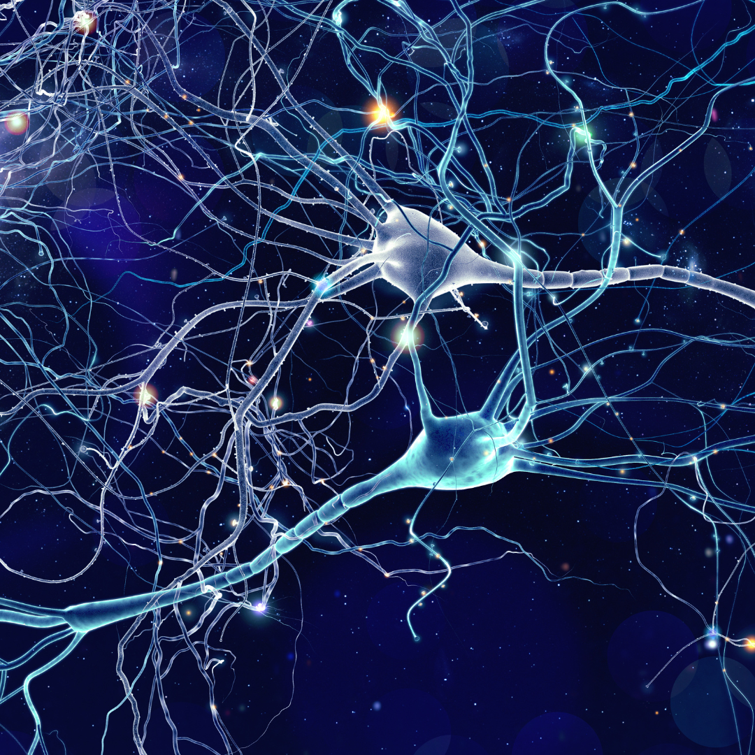 what is neuroplasticity 