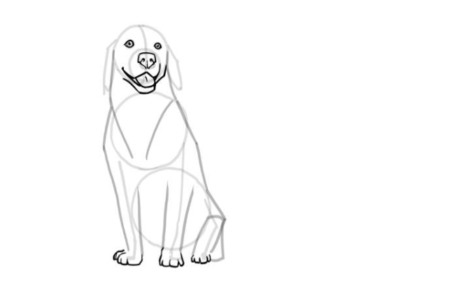 Как нарисовать собаку поэтапно карандашом: Легкие шаги для начинающих
