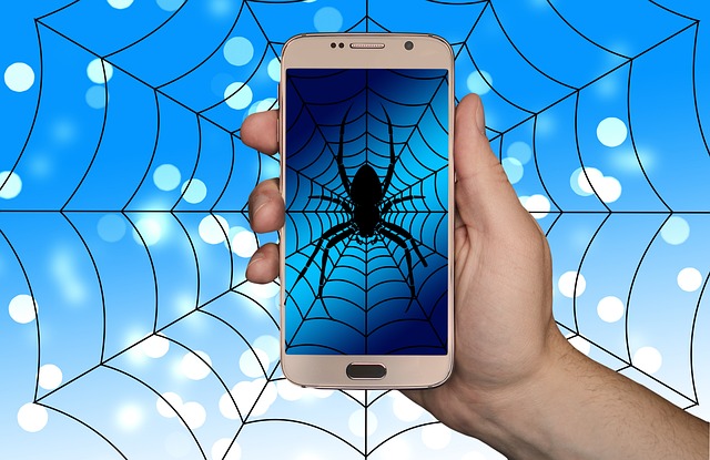 Hand holding a cellphone displaying an essential SEO component - a spider crawling a web.