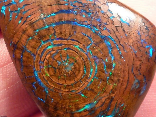 minerales