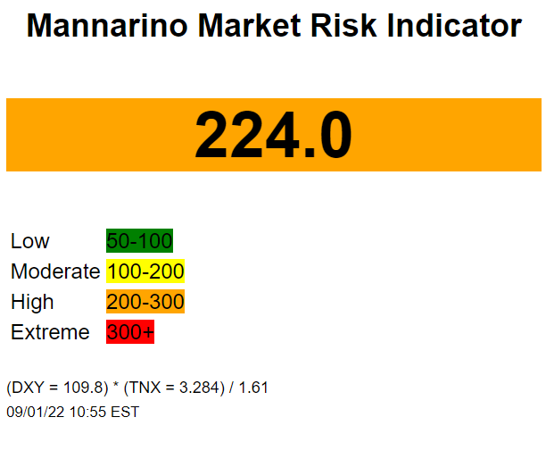 Mannarino Market Risk Indicator