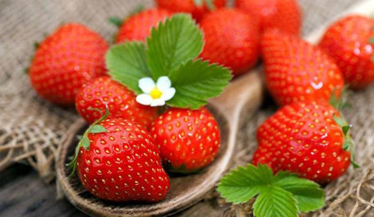 Dâu tây đỏ ửng, căng mọng