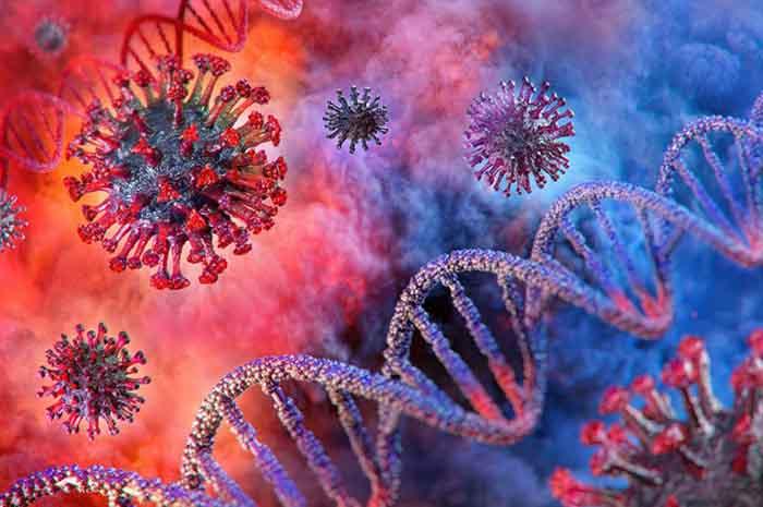 https://news.vietluan.com.au/wp-content/uploads/2021/11/Coronavirus-disease-COVID-19-infection-3D-medical-illustration.-1200x797-1.jpg