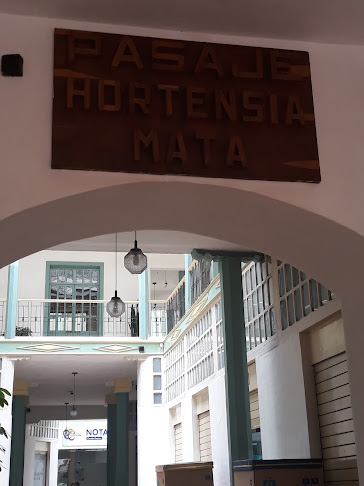 Consorcio de Transportistas "Molleturo"