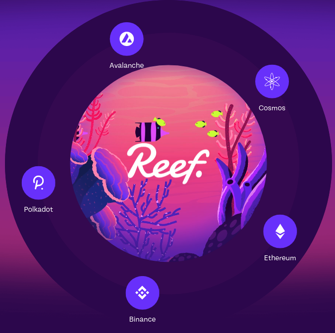 L’écosystème Reef