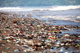 Types of Ocean Pollution | LoveToKnow