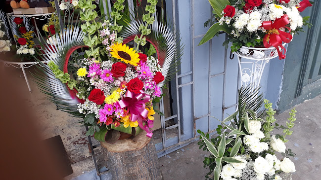 Jagilka Flowers - Guayaquil