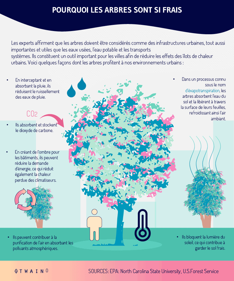 Comment-est-ce-que-les-arbres-peuvent-aider-la-planete