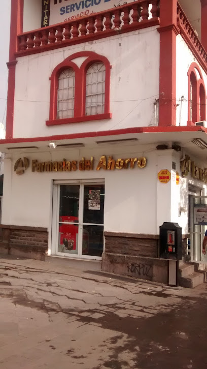 Farmacia Del Ahorro