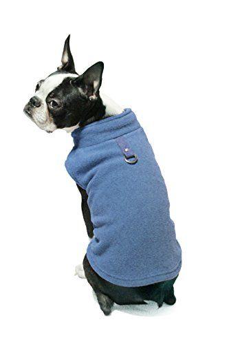 Dog wearing a blue sweater