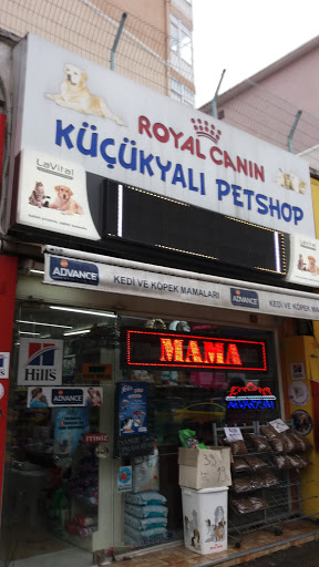 Küçükyalı Petshop | Maltepe İstanbul - Evcil Hayvan Malzemeleri Mağazası
