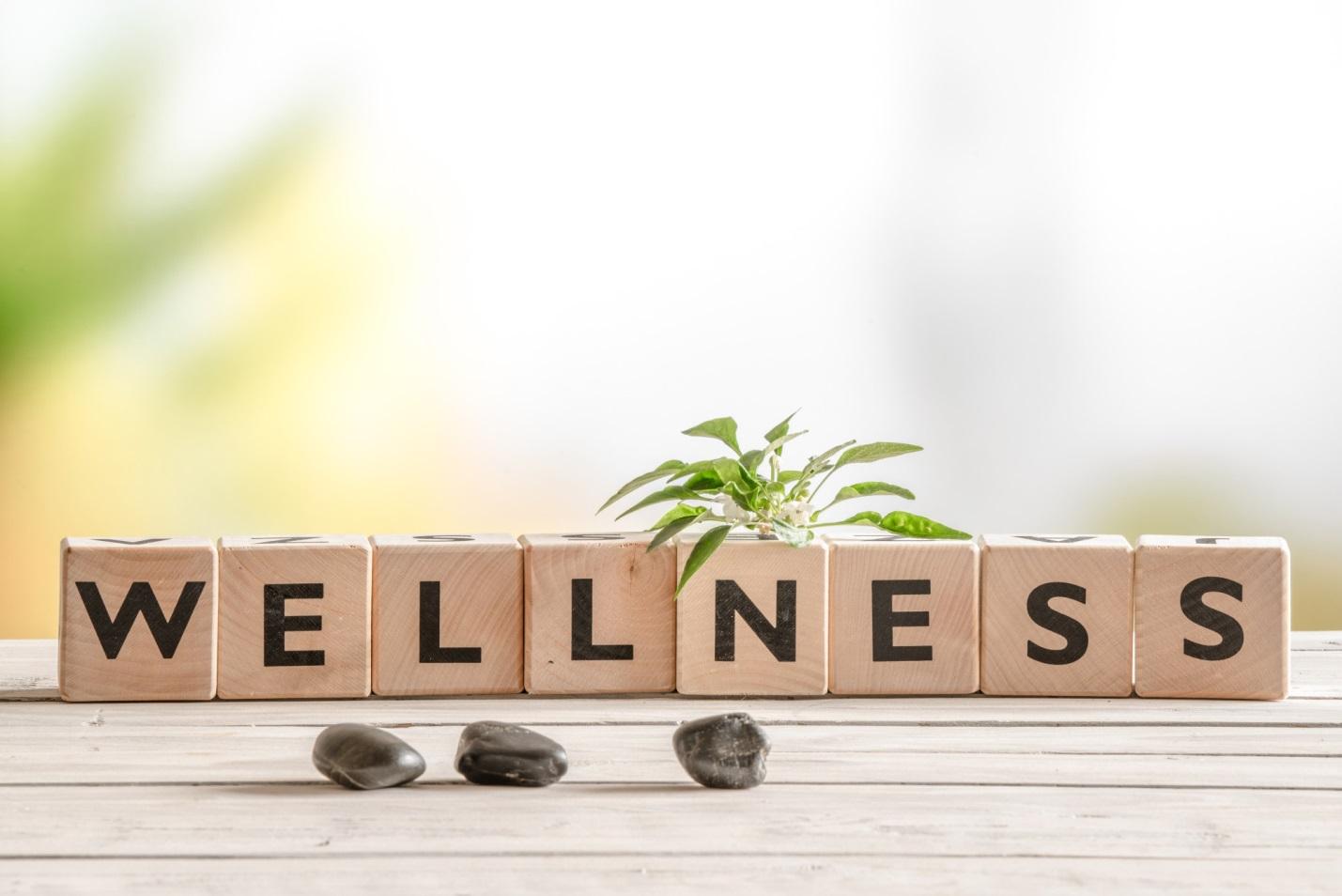 7 Incredible Benefits of Life and Wellness Coaching Western Pennsylvania Healthcare News