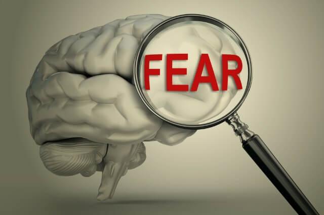 Fear-free life? Removing a part of your brain could make it possible—in  theory - Genetic Literacy Project