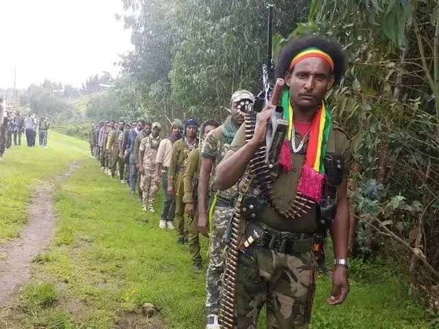Ethiopian News _ Amhara region _ FABO 