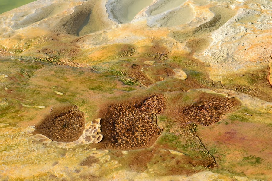 Мексика. И станут направления дорогами.