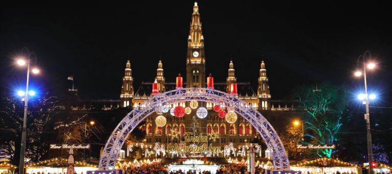 Vienna Christmas
 Market Tour