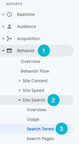 find site search terms in google analytics