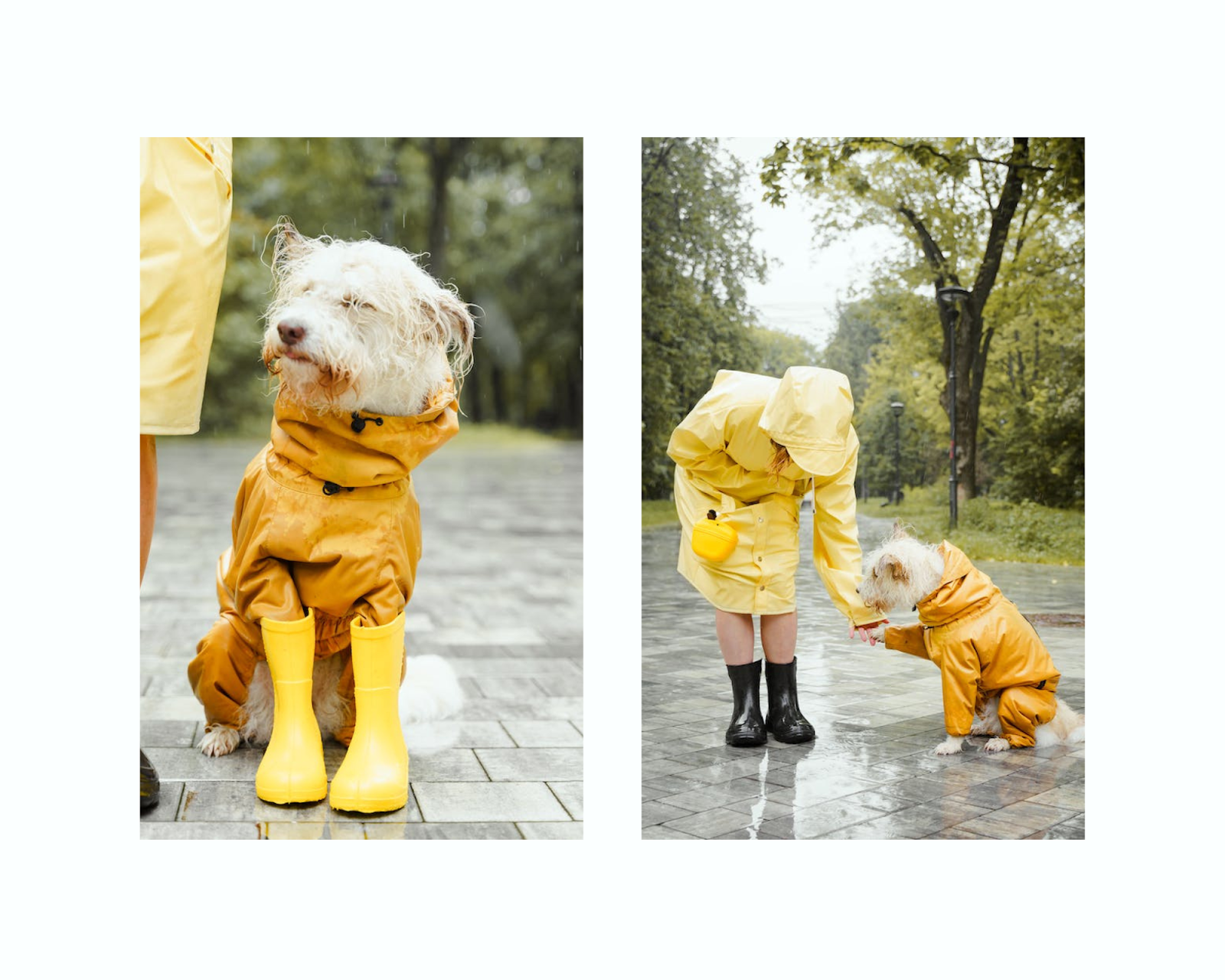 Koda in rain gear with her owner in a park.