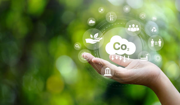 Why Should Your Company Use This Carbon Offset API?  