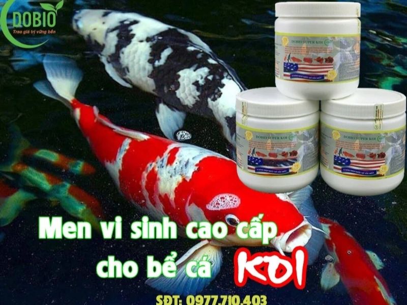 Chế phẩm sinh học Dobio Supper Koi