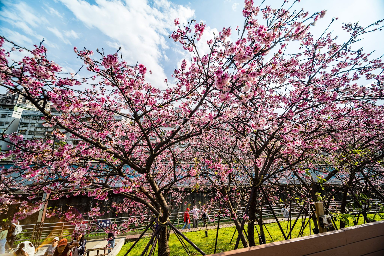 樂活公園