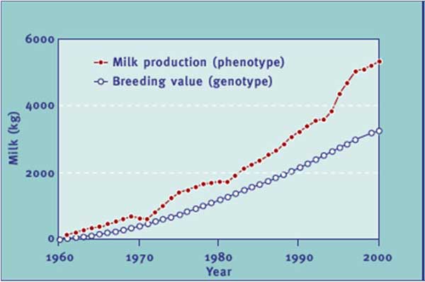 Trends of the genetic merit (breeding value) of AI bulls and actual average milk production of Holstein cows in the United States (Source: Silvia WJ, 2003)