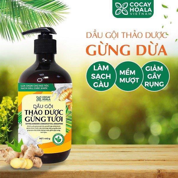 Dầu gội thảo dược gừng dừa cỏ cây hoa lá làm sạch gàu hiệu quả chỉ sau 7 ngày sử dụng